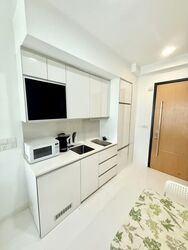 Loft @ Stevens (D10), Apartment #537865361